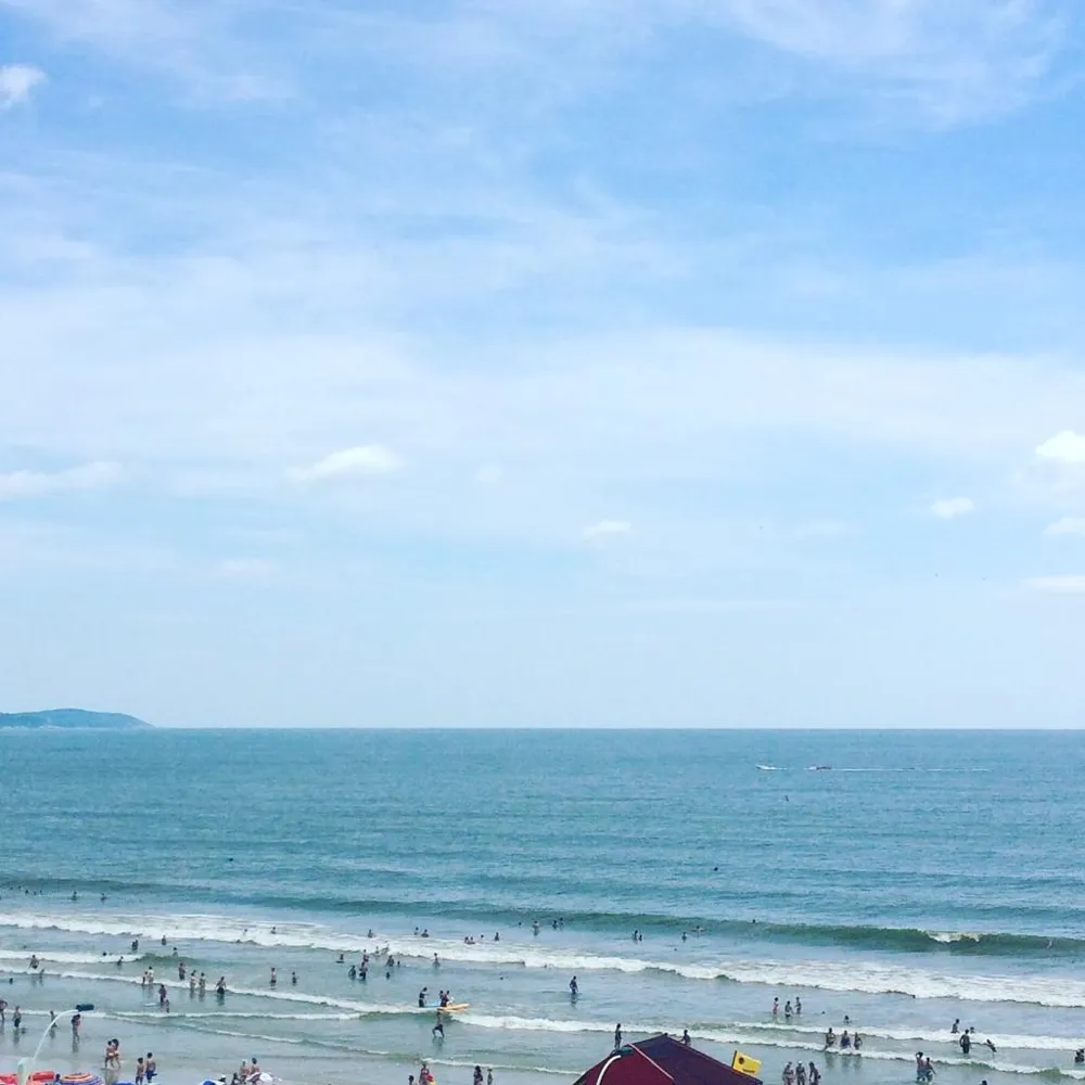 Apartamento para venda no bairro Meia Praia em Itapema